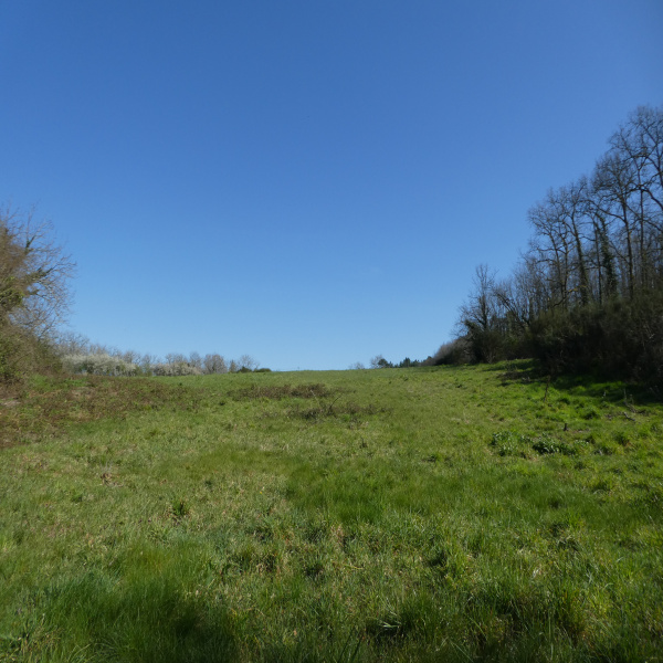 Offres de vente Terrain Marminiac 46250