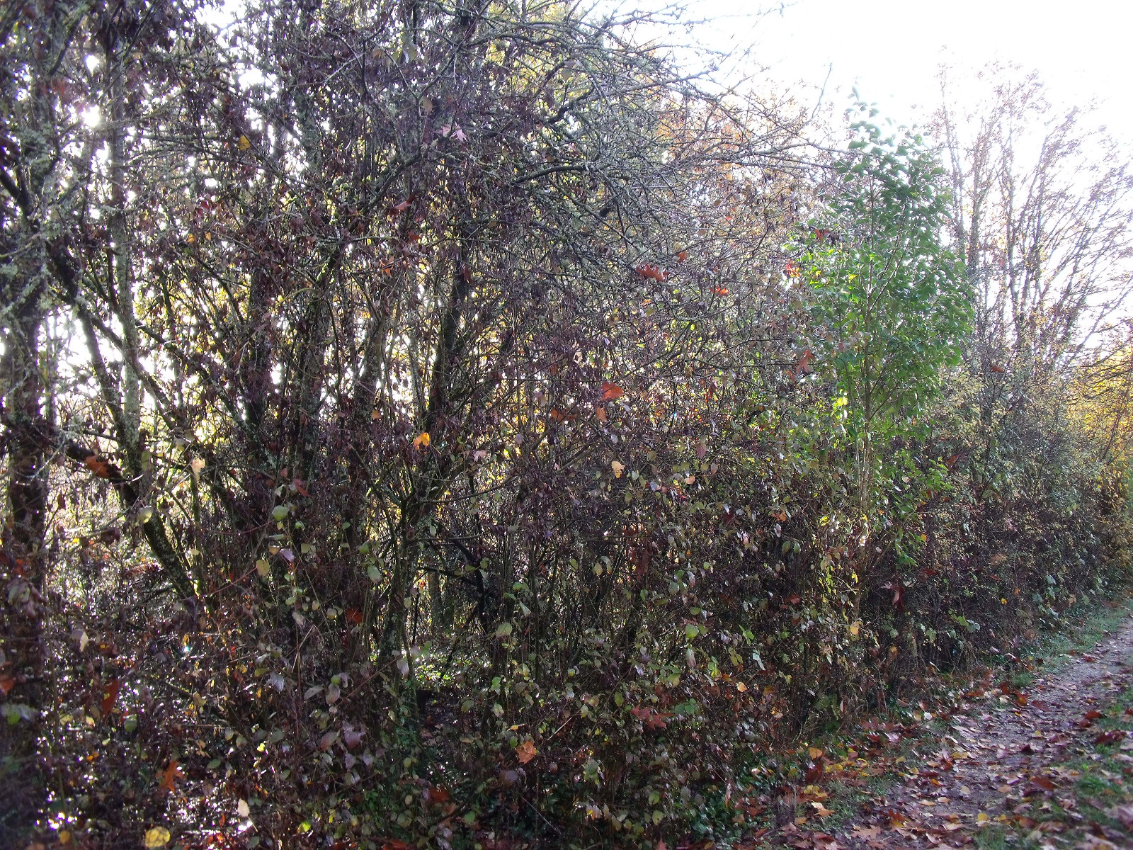 Offres de vente Terrain Fumel 47500